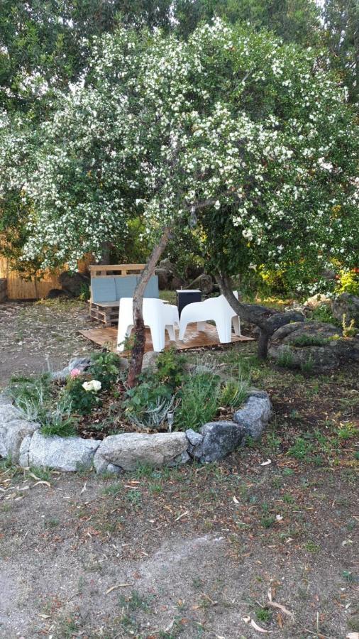 Casa Vacanze Olbia - Alebea - Екстериор снимка