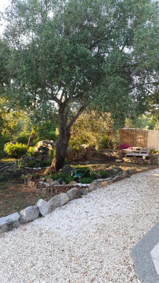 Casa Vacanze Olbia - Alebea - Екстериор снимка