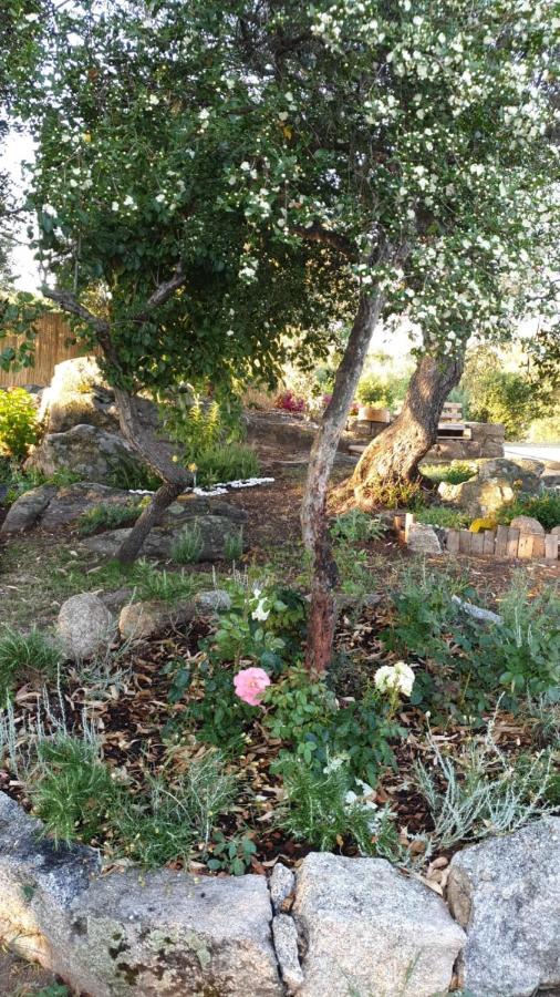 Casa Vacanze Olbia - Alebea - Екстериор снимка